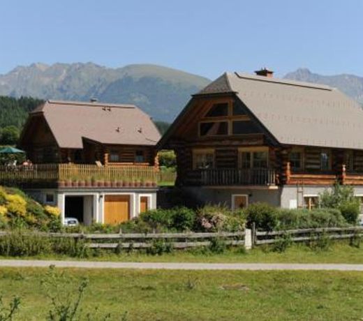 Log Home
