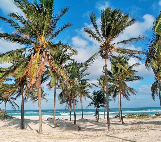 Be Live Experience Varadero