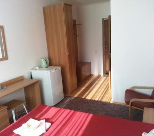 Mini-hotel Ozyornaya