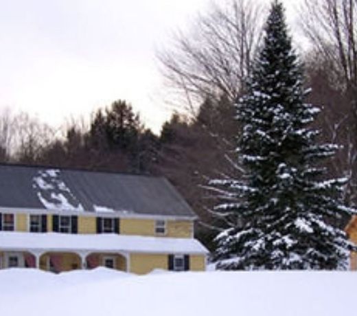The Wilder Farm Inn