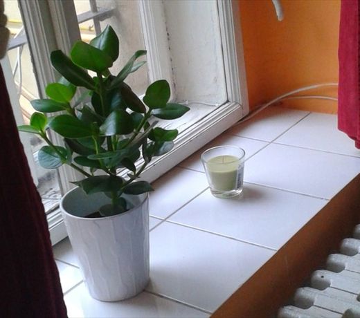 Club Hotel Praha