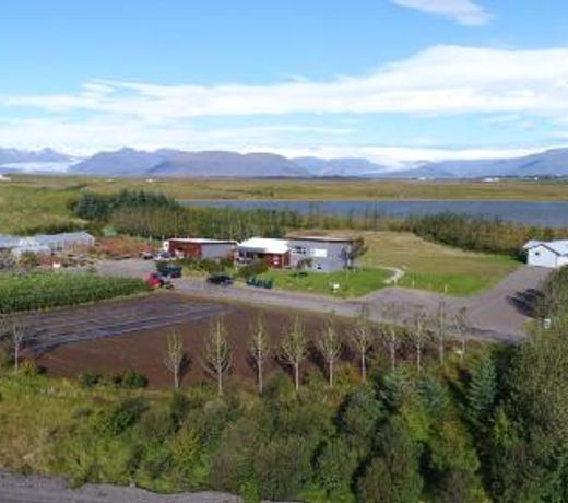 Dilksnes Guesthouse