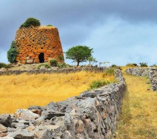 Agriturismo Le Mimose