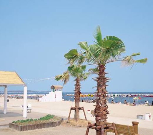 Sun Hotel Taiyoso