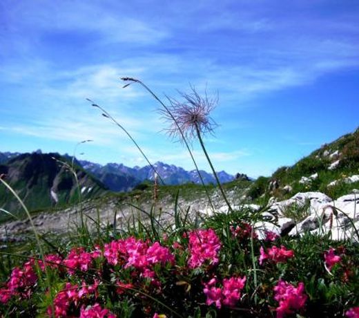 Landhaus Alpenflair Whg 403