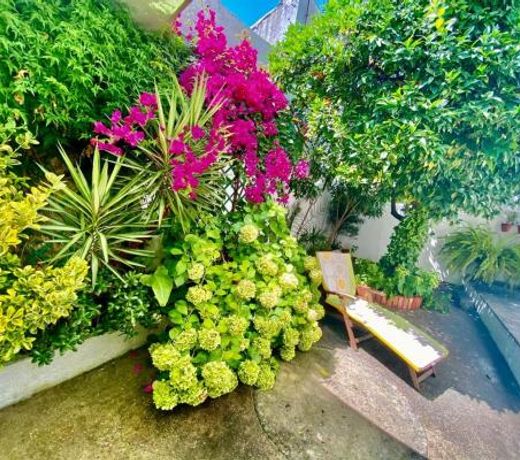 Patio da Laranjeira