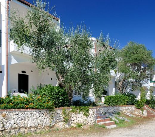 Baia Degli Aranci Camping Village