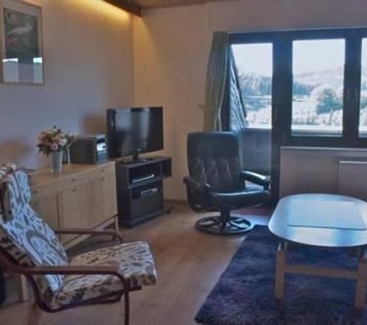 Spacious Apartment in Niedersfeld near Lake