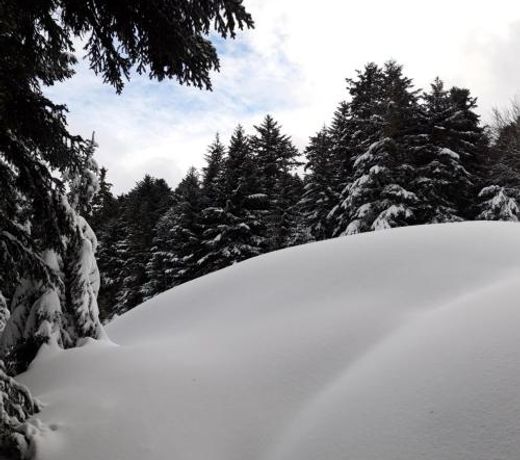 Pyrenees - Le Nid d'Ax