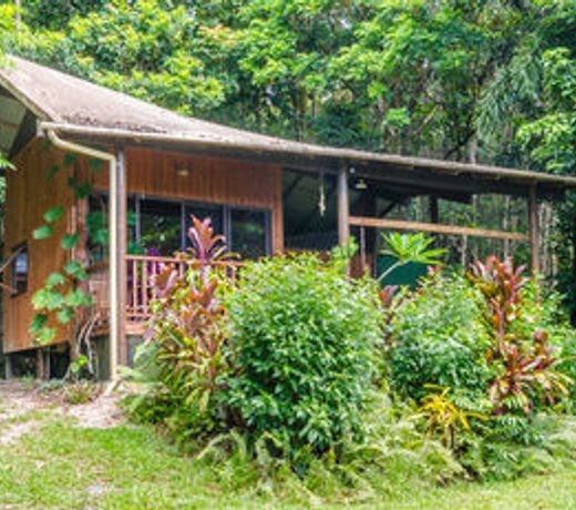 Epiphyte B & B