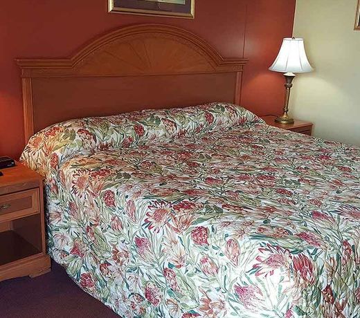 Plaza Inn Springfield