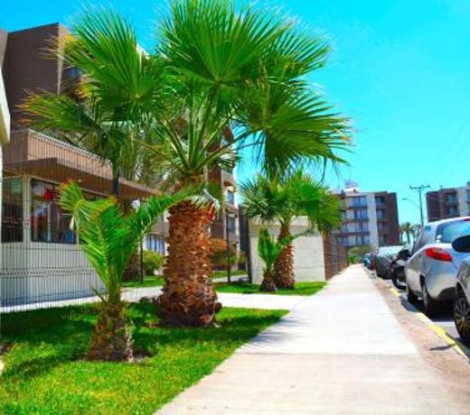 Apartamentos Alma Socoroma