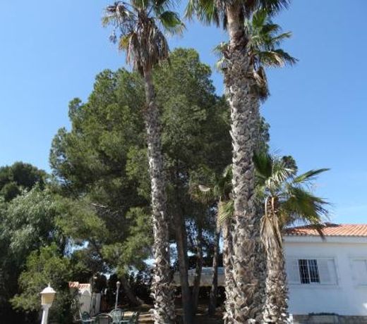 La casa de Mary