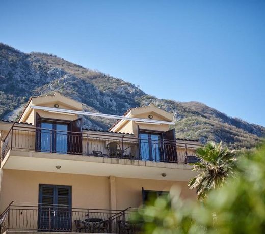 Apartments Pajovic