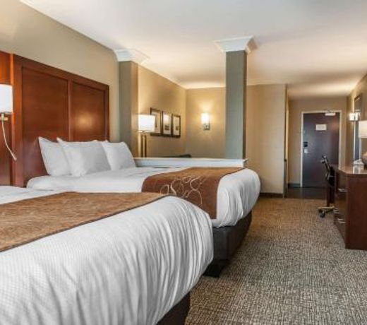 Comfort Suites Rensselaer near Fair Oaks