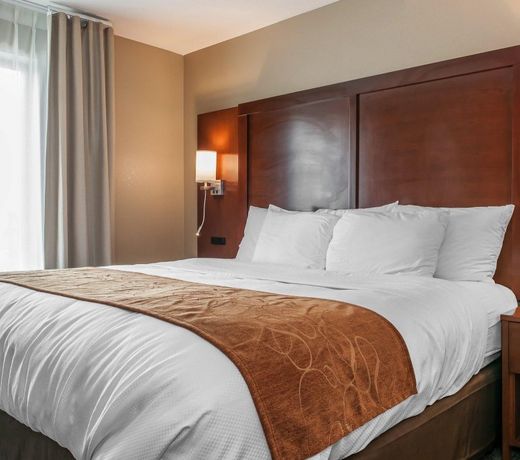 Comfort Suites Rensselaer near Fair Oaks