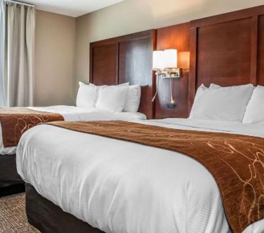 Comfort Suites Rensselaer near Fair Oaks