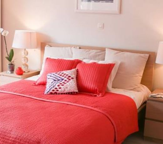 Chambre Chants d'oiseaux