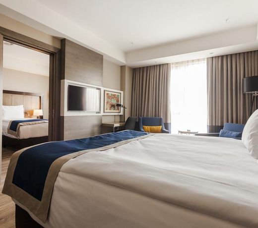 Holiday Inn Kayseri - Duvenonu, an IHG Hotel