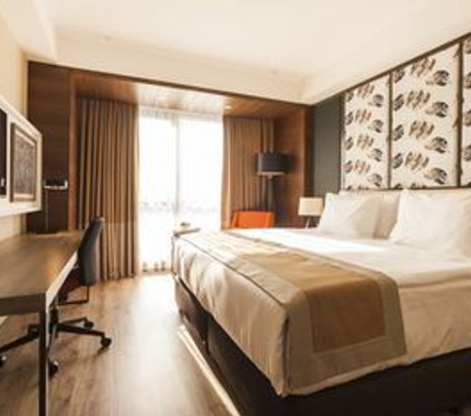 Holiday Inn Kayseri - Duvenonu, an IHG Hotel