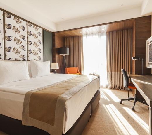 Holiday Inn Kayseri - Duvenonu, an IHG Hotel
