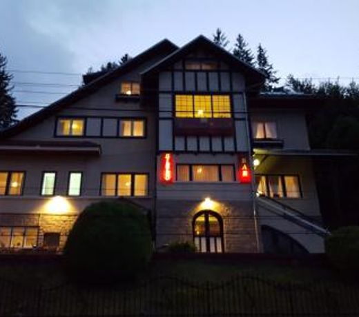 Pensiunea Vila Gabriel