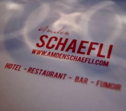 AMDEN SCHAEFLI