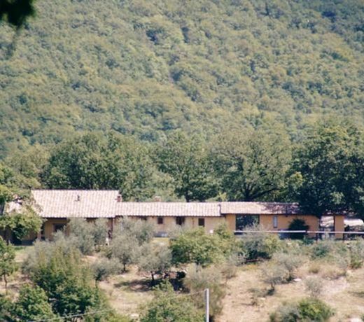 Agriturismo Colleciglio