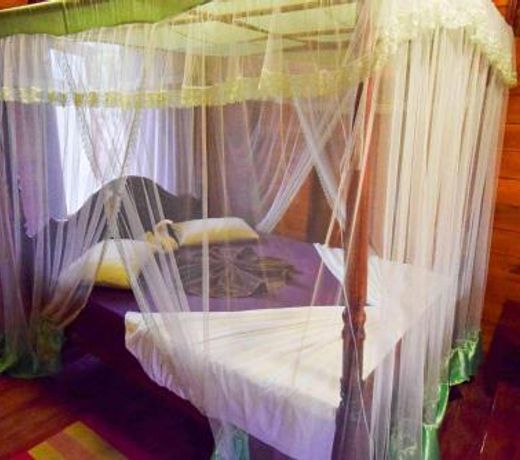 Little Pumpkin Cabanas