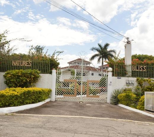 Nature's Bliss Jamaica