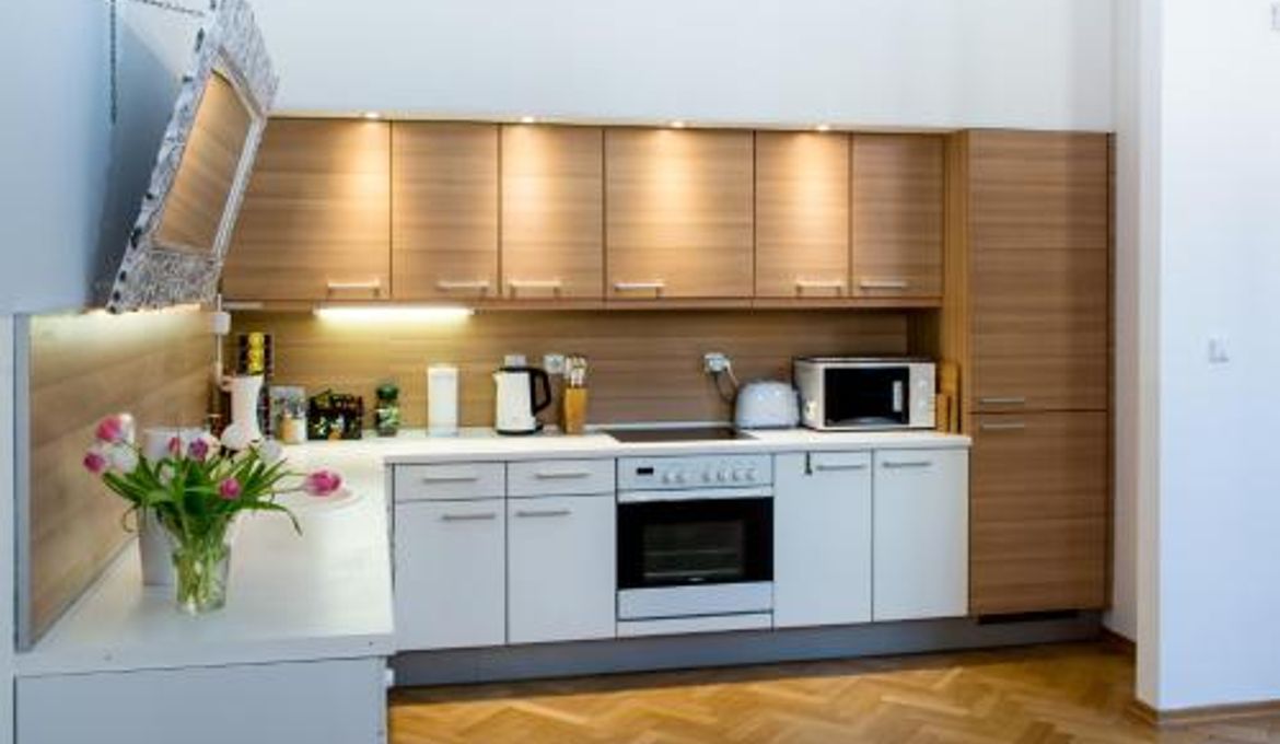 Luxury Apartment Maiselova