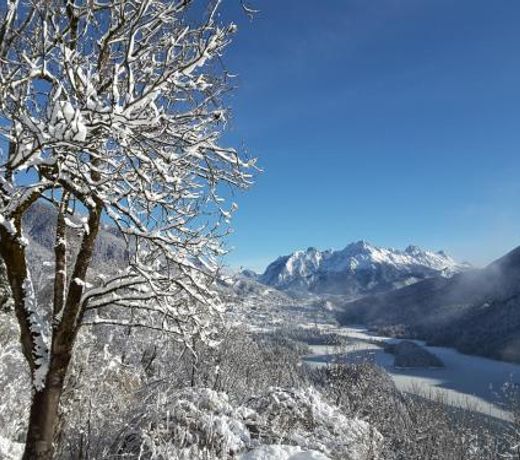 Dolomiti