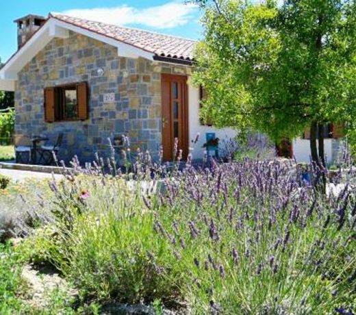 Holiday House Ida