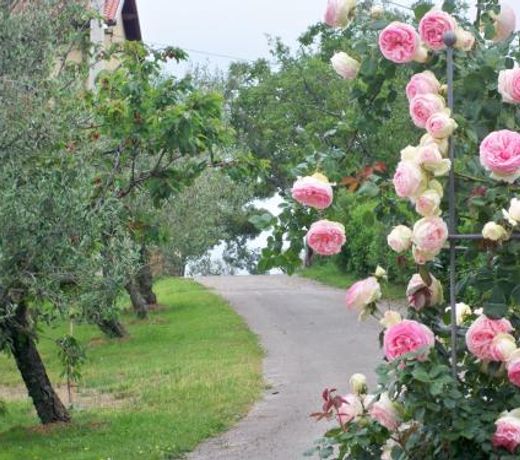 Holiday House Ida