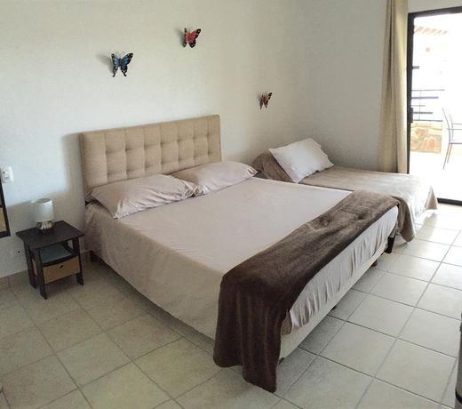 One of a Kind Cabo Family Unit