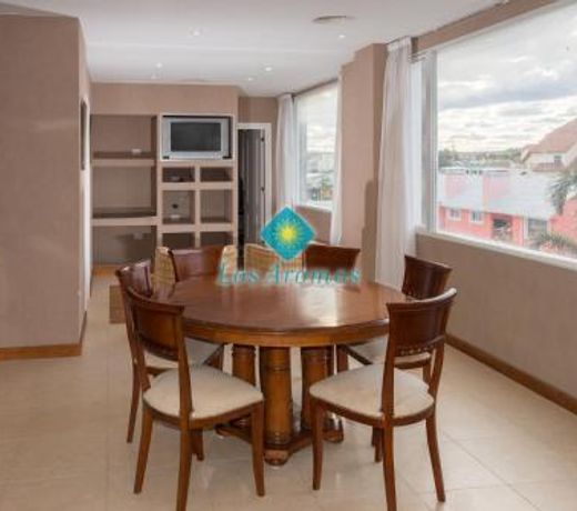 Los Aromos Apart Spa