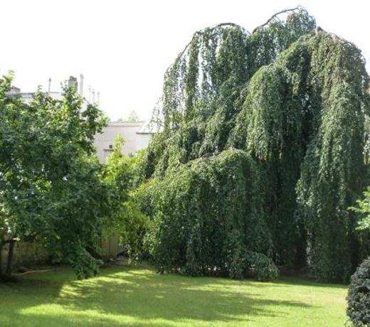 L'Orangerie White-Palacio
