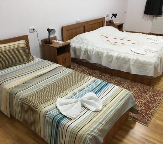 Hostel Lion