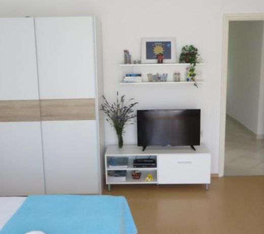 Gianna Apartment Labin