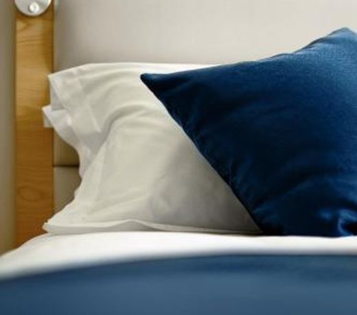 Lyz Business Hotel