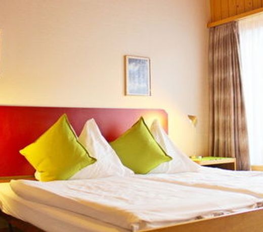 Hotel Alpina