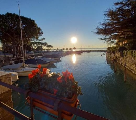 Il Nido del Cigno