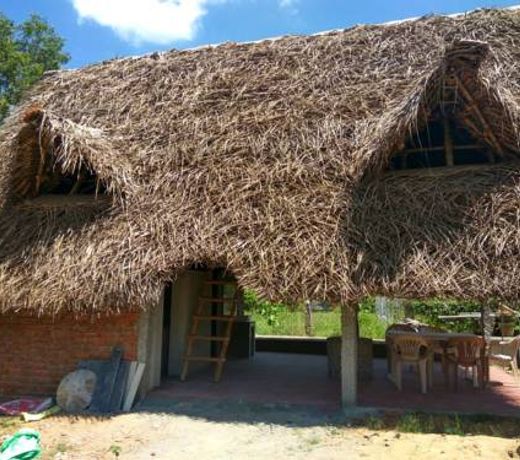 Badrinath House
