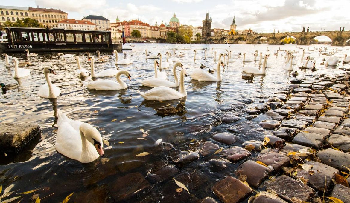 Under the Charles Bridge 3BDR Loft