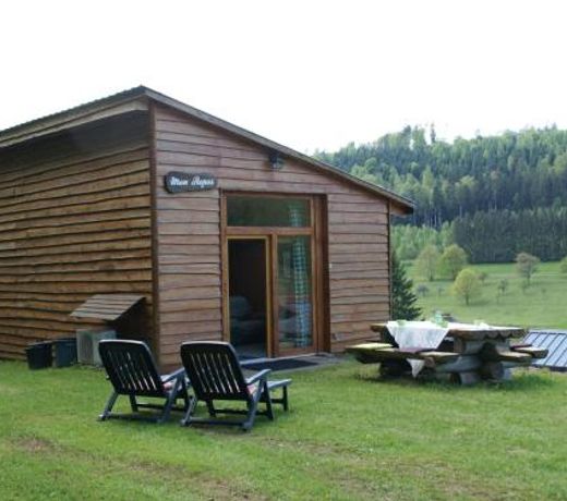 Cute and atmospheric chalet with magnificent view in the middle of the Vosges