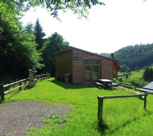 Cute and atmospheric chalet with magnificent view in the middle of the Vosges