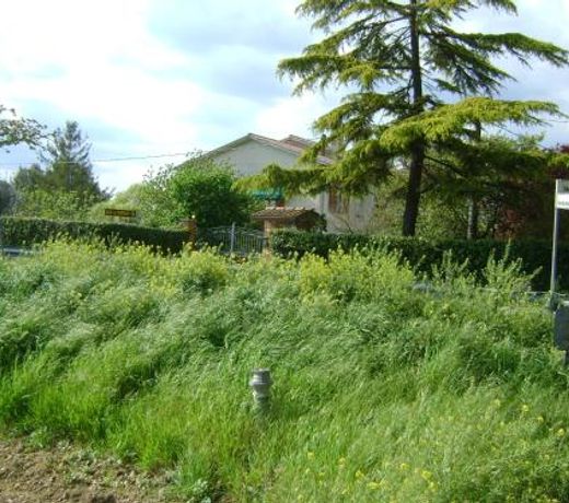 B&B La Mimosa