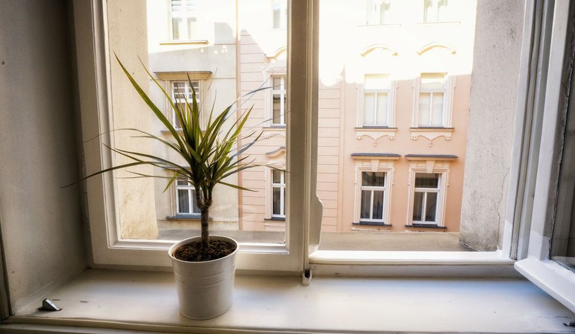 Apartment by the Old Town Square