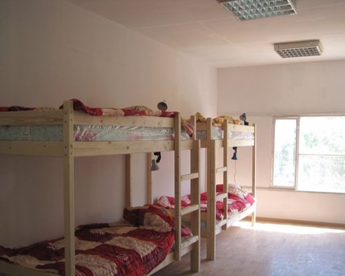 Gnyozdyshko Hostel - Ялта - фото 5