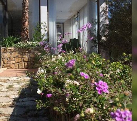 B&B La Collegiata